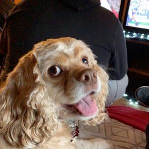 Meet your Posher, Zachary